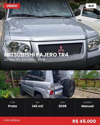 MITSUBISHI PAJERO TR4 2.0 4X4 16V FLEX 4P MANUAL MITSUBISHI PAJERO TR4 2.0 4X4 16V FLEX 4P MANUAL